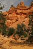 Canyon Wash.jpg